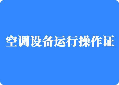 操骚逼啊啊啊啊爽视频网站制冷工证